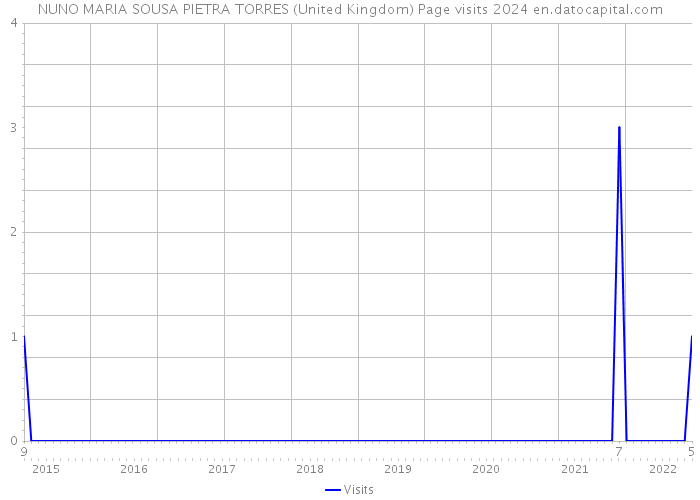 NUNO MARIA SOUSA PIETRA TORRES (United Kingdom) Page visits 2024 