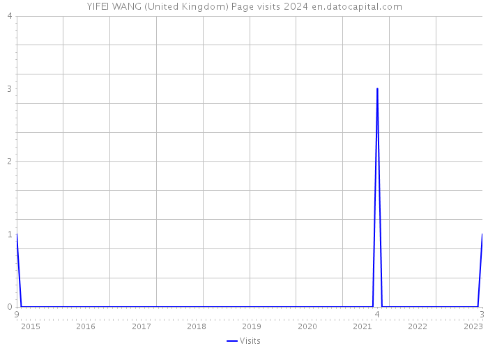 YIFEI WANG (United Kingdom) Page visits 2024 