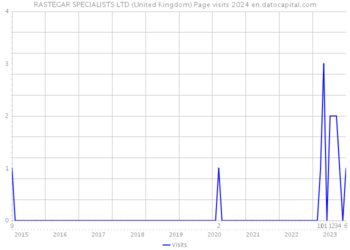 RASTEGAR SPECIALISTS LTD (United Kingdom) Page visits 2024 