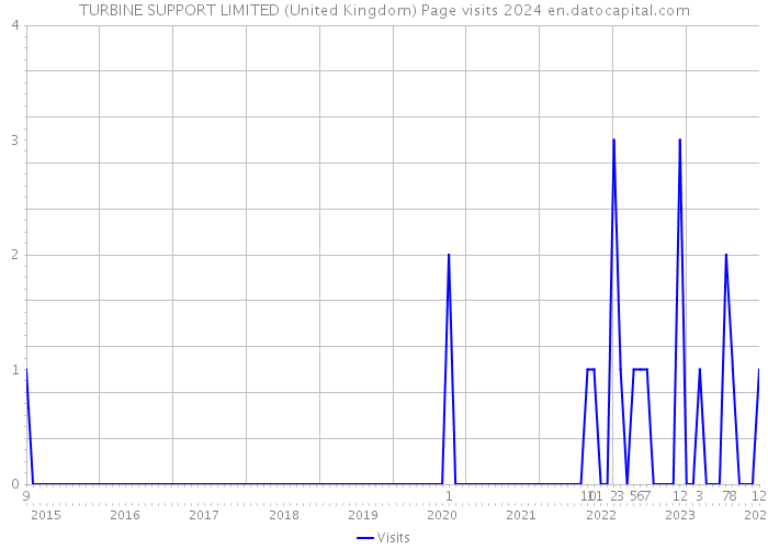 TURBINE SUPPORT LIMITED (United Kingdom) Page visits 2024 