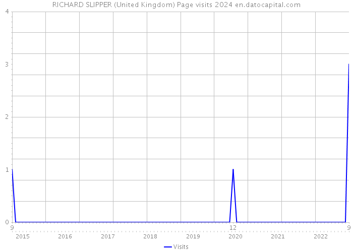 RICHARD SLIPPER (United Kingdom) Page visits 2024 