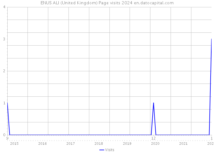 ENUS ALI (United Kingdom) Page visits 2024 