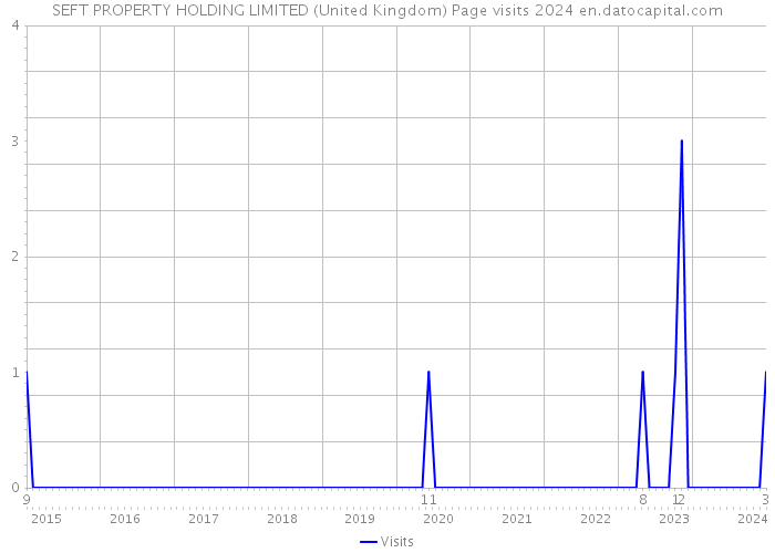 SEFT PROPERTY HOLDING LIMITED (United Kingdom) Page visits 2024 