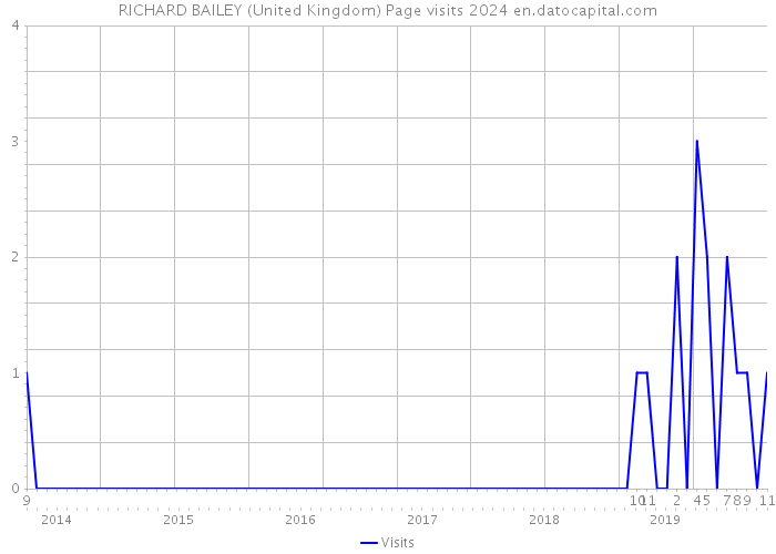 RICHARD BAILEY (United Kingdom) Page visits 2024 
