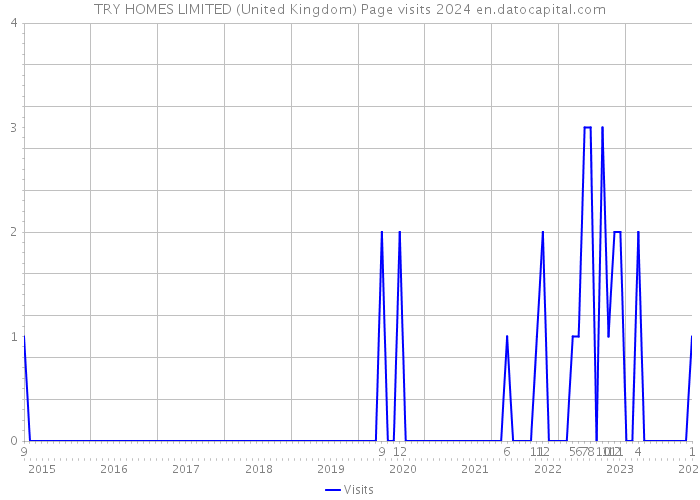 TRY HOMES LIMITED (United Kingdom) Page visits 2024 