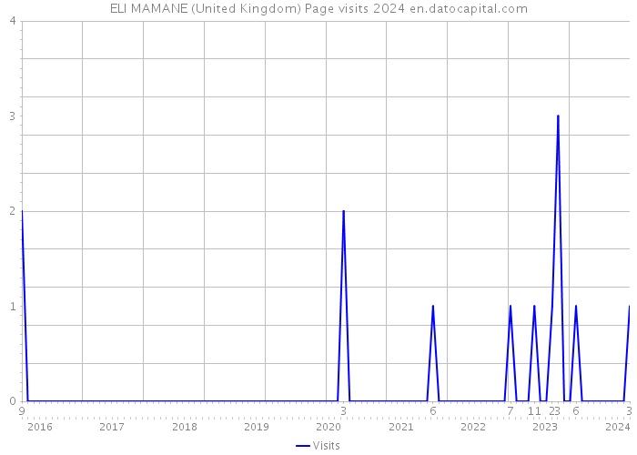 ELI MAMANE (United Kingdom) Page visits 2024 