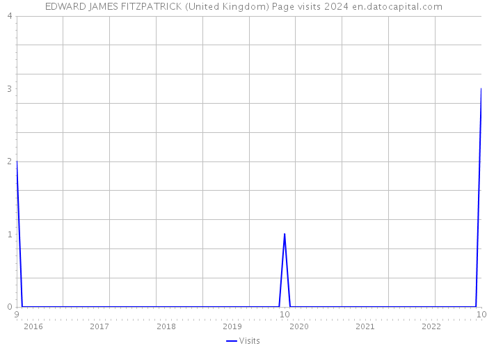 EDWARD JAMES FITZPATRICK (United Kingdom) Page visits 2024 