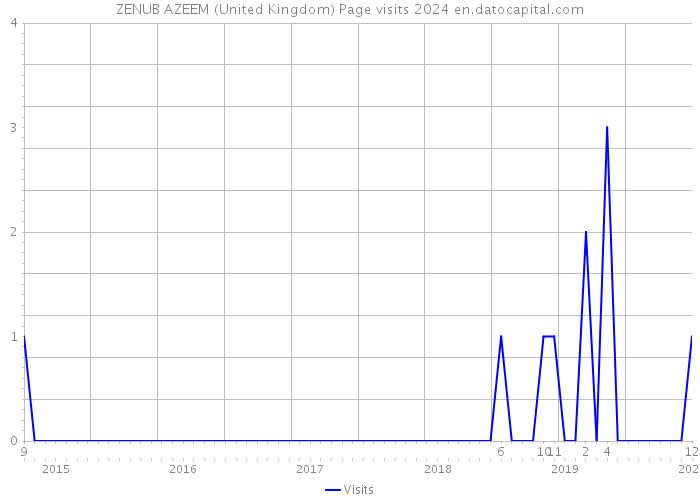 ZENUB AZEEM (United Kingdom) Page visits 2024 