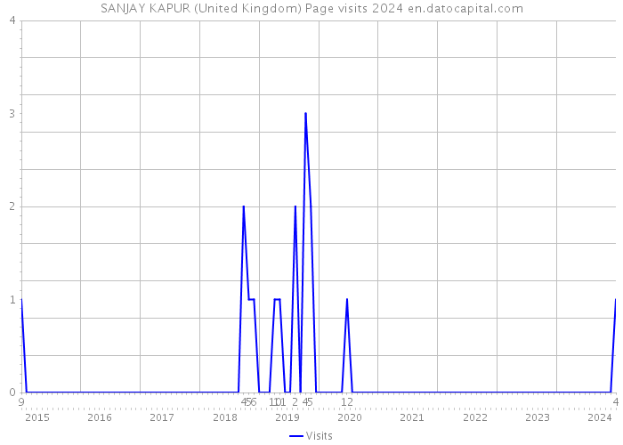 SANJAY KAPUR (United Kingdom) Page visits 2024 
