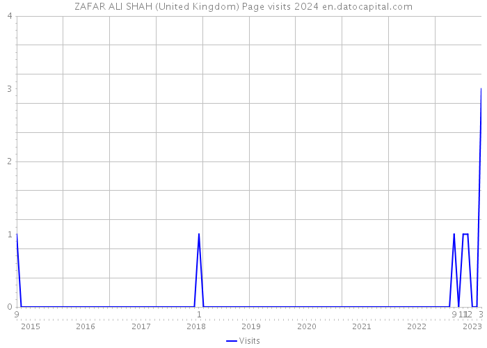 ZAFAR ALI SHAH (United Kingdom) Page visits 2024 