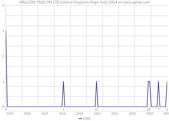 WELLCOM TELECOM LTD (United Kingdom) Page visits 2024 