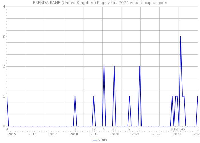 BRENDA BANE (United Kingdom) Page visits 2024 