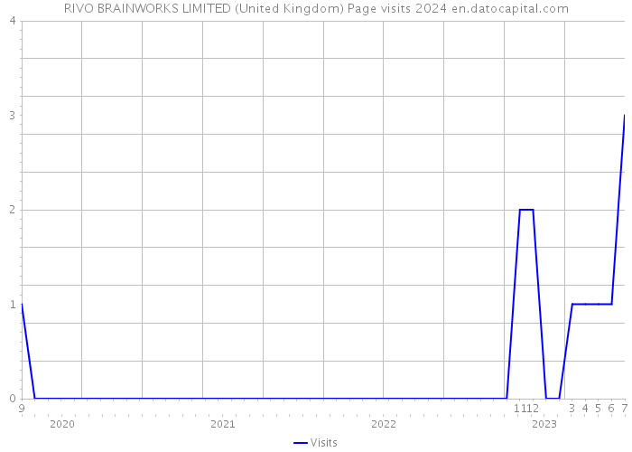 RIVO BRAINWORKS LIMITED (United Kingdom) Page visits 2024 