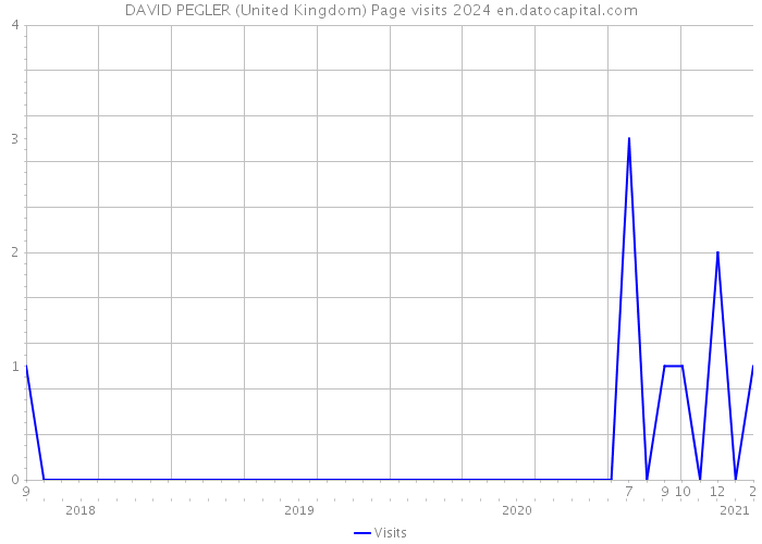 DAVID PEGLER (United Kingdom) Page visits 2024 