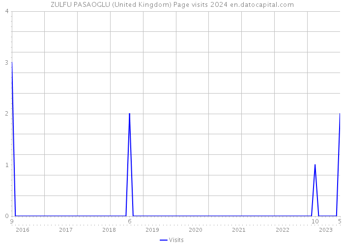 ZULFU PASAOGLU (United Kingdom) Page visits 2024 