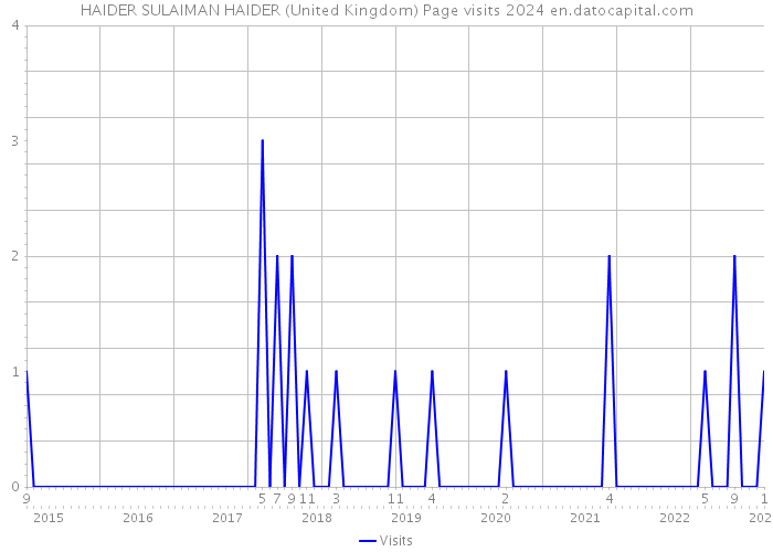 HAIDER SULAIMAN HAIDER (United Kingdom) Page visits 2024 