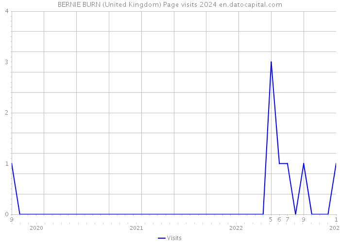 BERNIE BURN (United Kingdom) Page visits 2024 