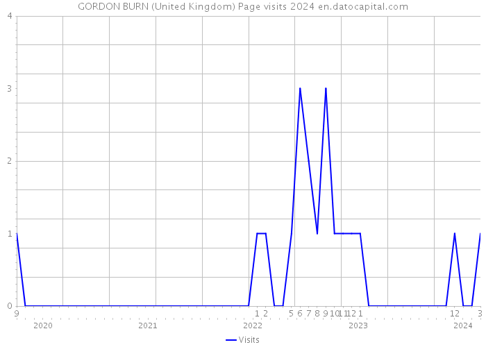 GORDON BURN (United Kingdom) Page visits 2024 