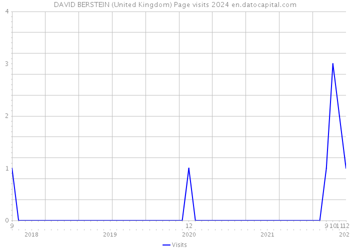 DAVID BERSTEIN (United Kingdom) Page visits 2024 