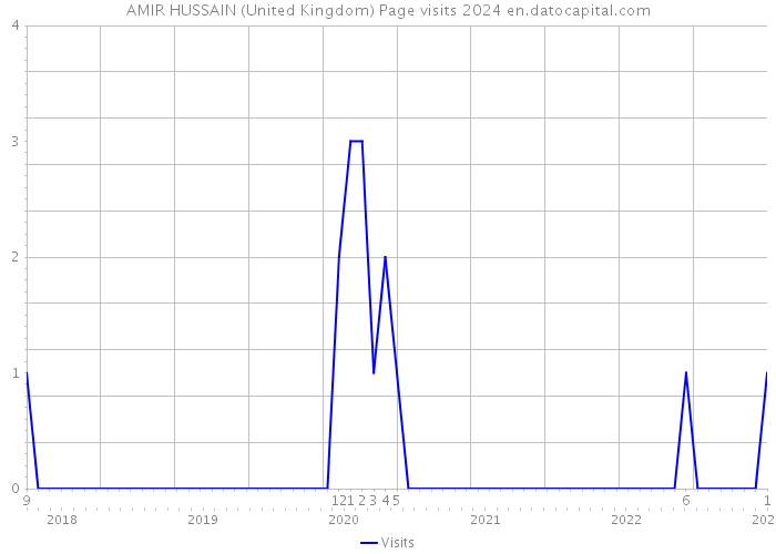 AMIR HUSSAIN (United Kingdom) Page visits 2024 
