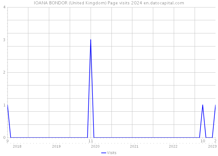 IOANA BONDOR (United Kingdom) Page visits 2024 