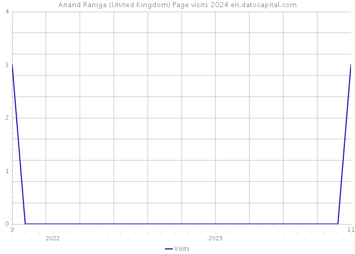 Anand Raniga (United Kingdom) Page visits 2024 