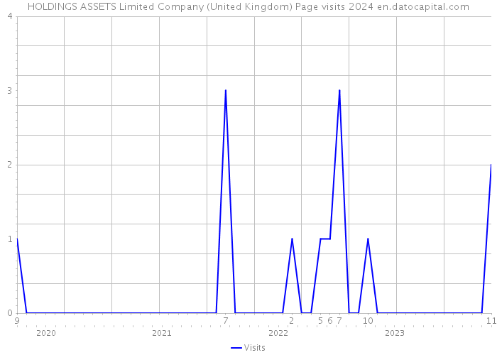 HOLDINGS ASSETS Limited Company (United Kingdom) Page visits 2024 