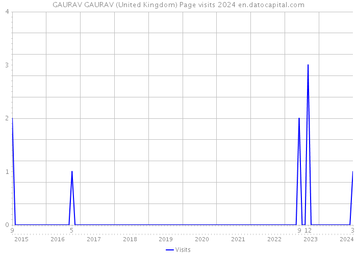 GAURAV GAURAV (United Kingdom) Page visits 2024 