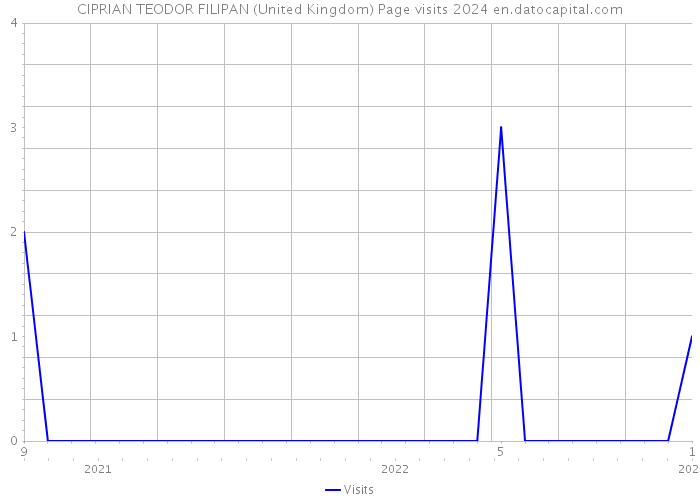 CIPRIAN TEODOR FILIPAN (United Kingdom) Page visits 2024 