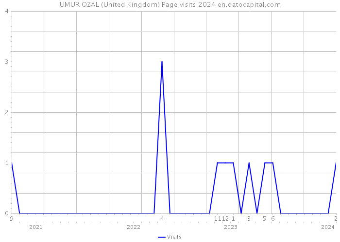UMUR OZAL (United Kingdom) Page visits 2024 