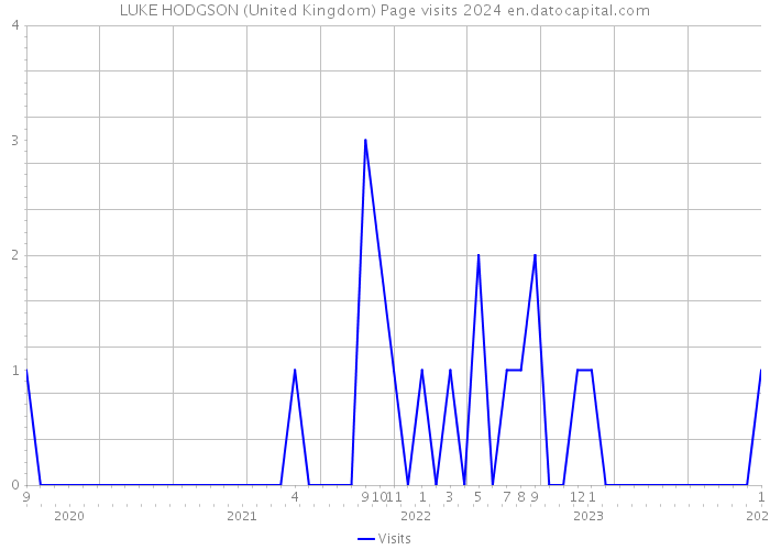 LUKE HODGSON (United Kingdom) Page visits 2024 