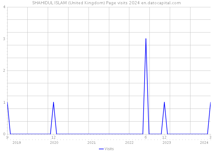 SHAHIDUL ISLAM (United Kingdom) Page visits 2024 