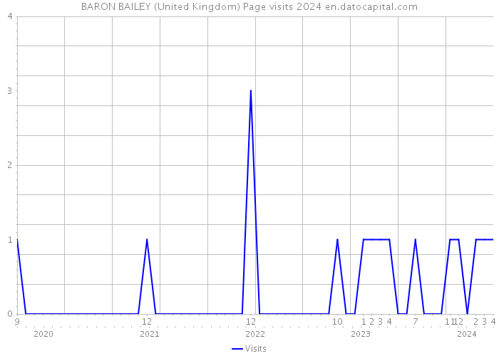 BARON BAILEY (United Kingdom) Page visits 2024 