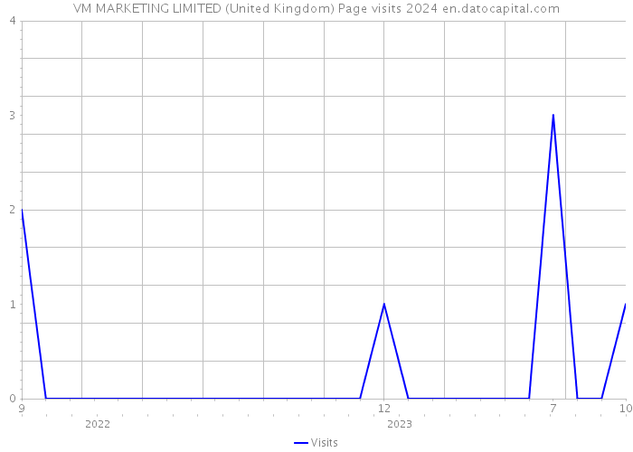 VM MARKETING LIMITED (United Kingdom) Page visits 2024 
