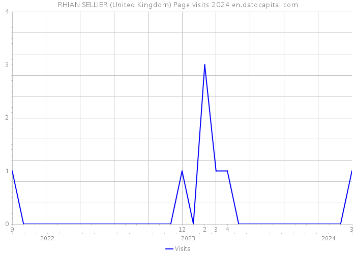 RHIAN SELLIER (United Kingdom) Page visits 2024 