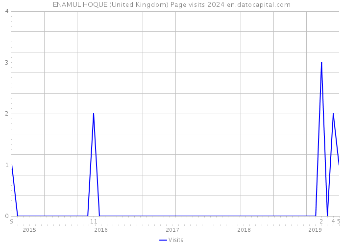 ENAMUL HOQUE (United Kingdom) Page visits 2024 