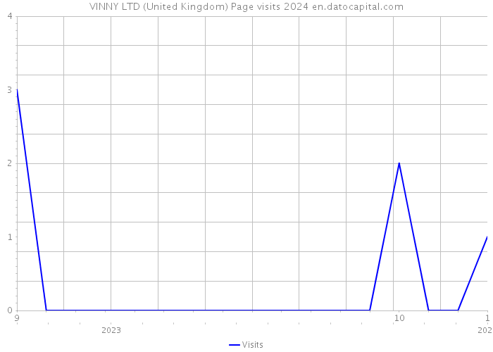 VINNY LTD (United Kingdom) Page visits 2024 