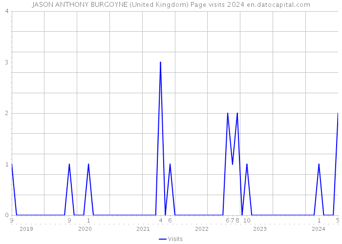 JASON ANTHONY BURGOYNE (United Kingdom) Page visits 2024 