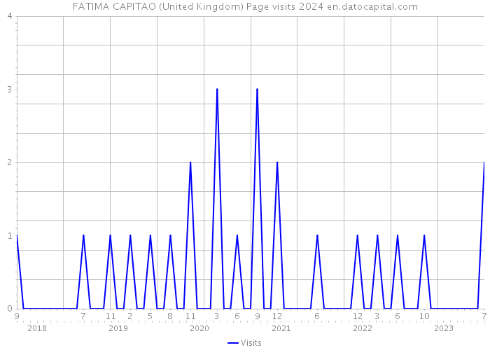 FATIMA CAPITAO (United Kingdom) Page visits 2024 
