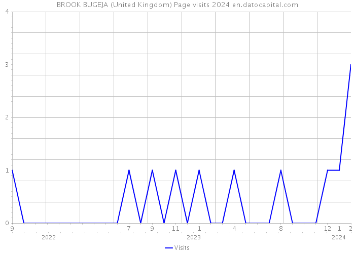 BROOK BUGEJA (United Kingdom) Page visits 2024 