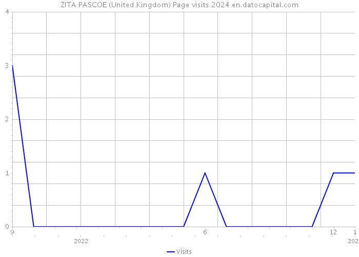 ZITA PASCOE (United Kingdom) Page visits 2024 