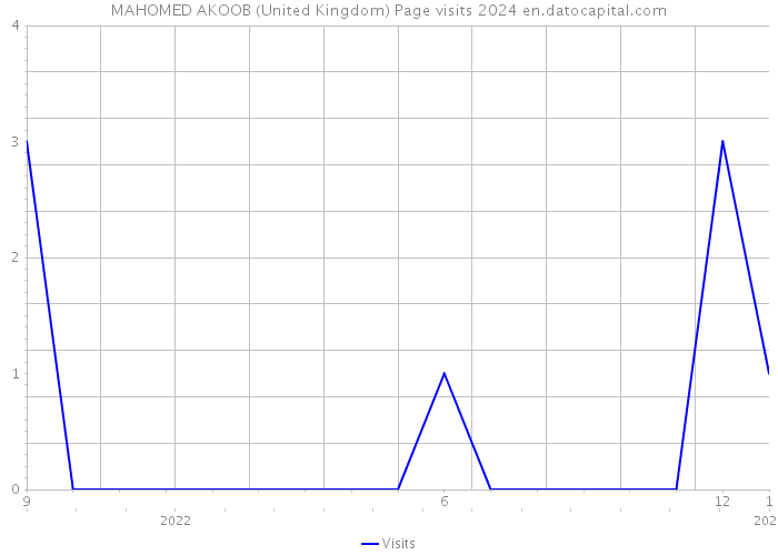 MAHOMED AKOOB (United Kingdom) Page visits 2024 