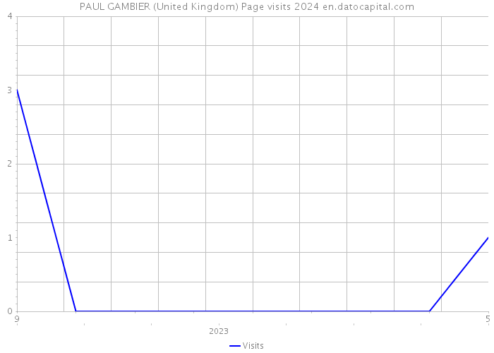 PAUL GAMBIER (United Kingdom) Page visits 2024 