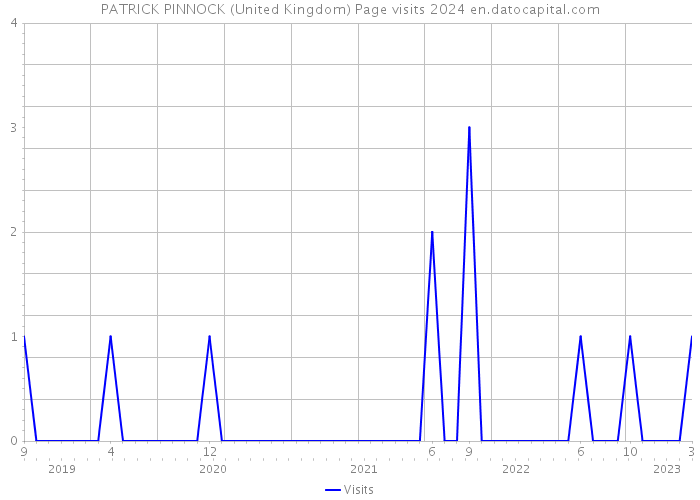 PATRICK PINNOCK (United Kingdom) Page visits 2024 