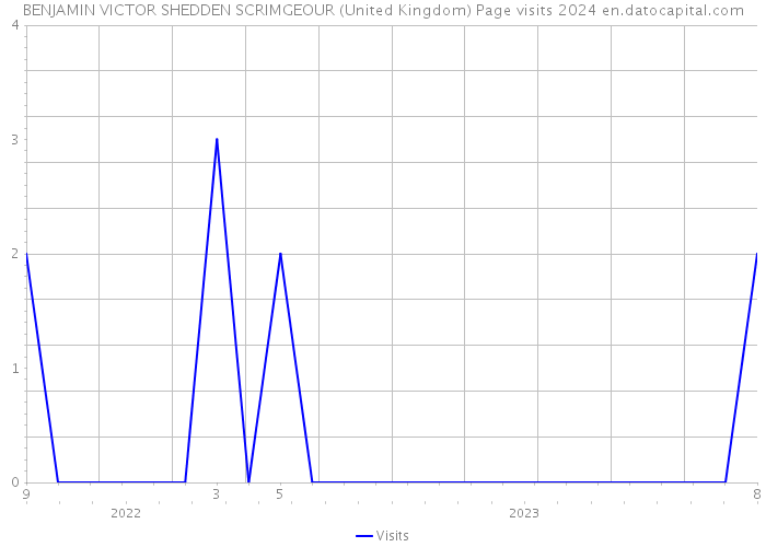 BENJAMIN VICTOR SHEDDEN SCRIMGEOUR (United Kingdom) Page visits 2024 