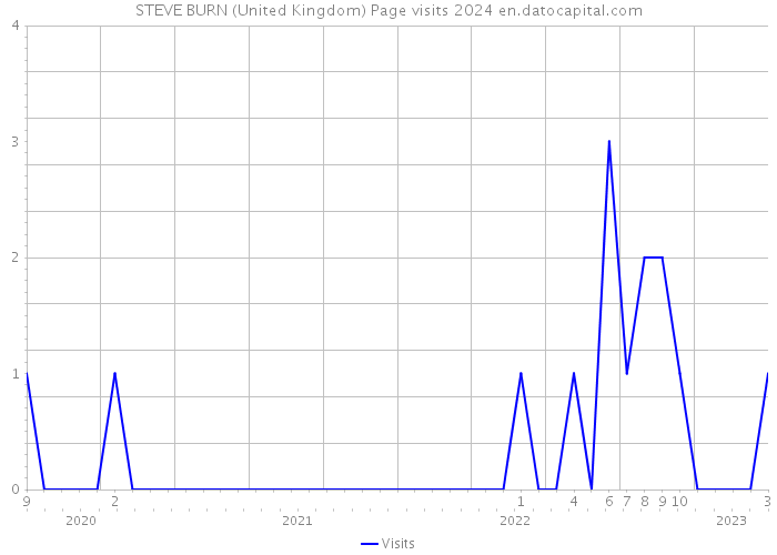 STEVE BURN (United Kingdom) Page visits 2024 