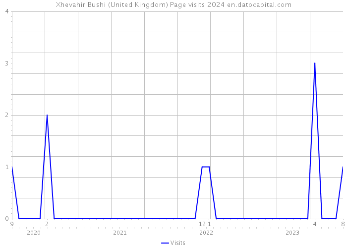 Xhevahir Bushi (United Kingdom) Page visits 2024 