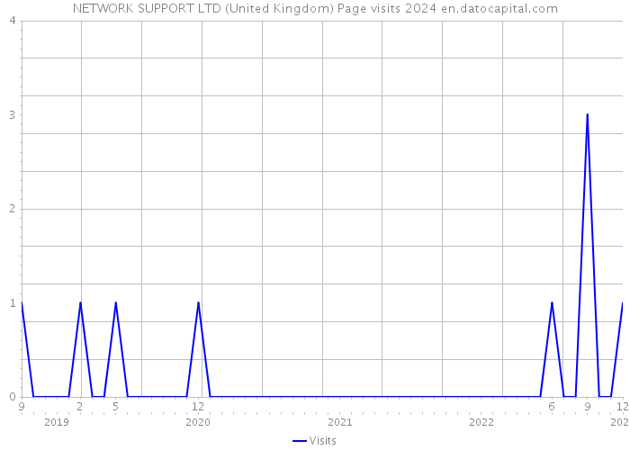 NETWORK SUPPORT LTD (United Kingdom) Page visits 2024 