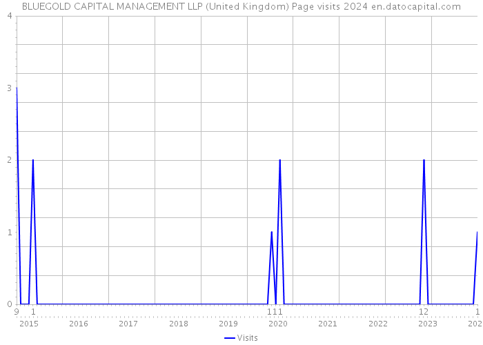 BLUEGOLD CAPITAL MANAGEMENT LLP (United Kingdom) Page visits 2024 