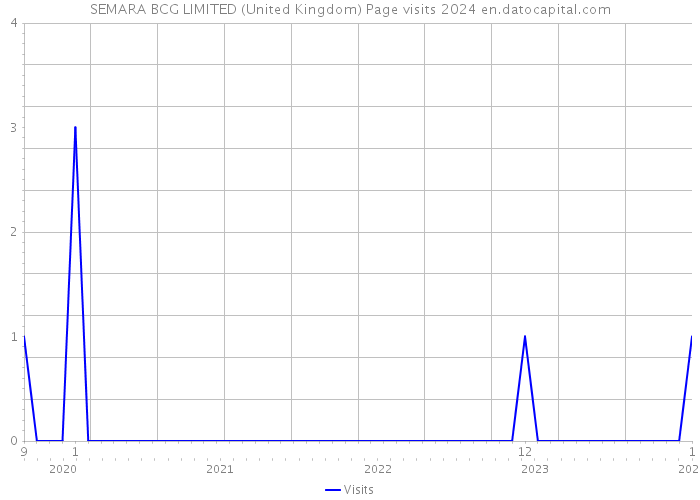 SEMARA BCG LIMITED (United Kingdom) Page visits 2024 